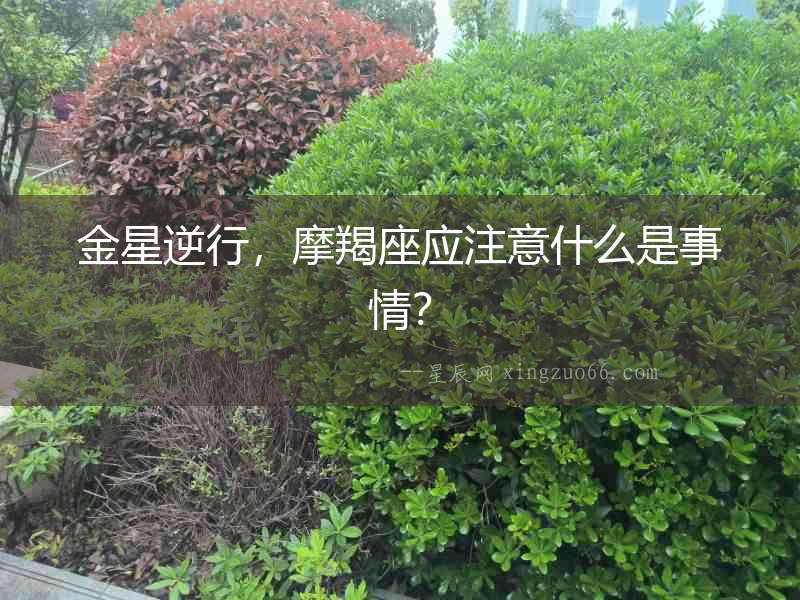 金星逆行，摩羯座應注意什么是事情？