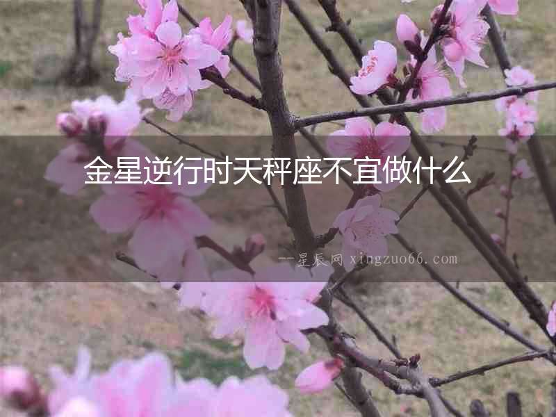 金星逆行時天秤座不宜做什么