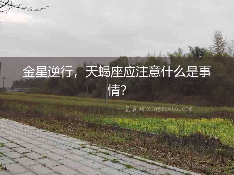 金星逆行，天蝎座應注意什么是事情？