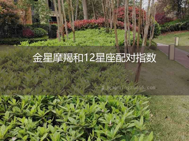 金星摩羯和12星座配對指數