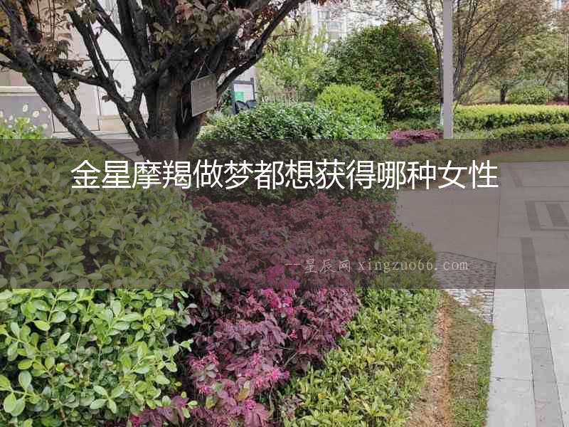 金星摩羯做夢都想獲得哪種女性
