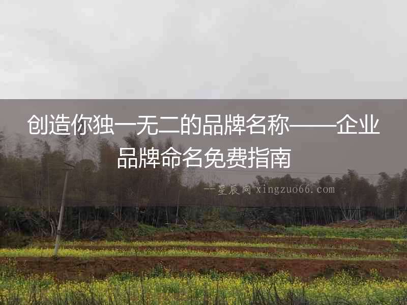 創(chuàng)造你獨一無二的品牌名稱——企業(yè)品牌命名免費指南
