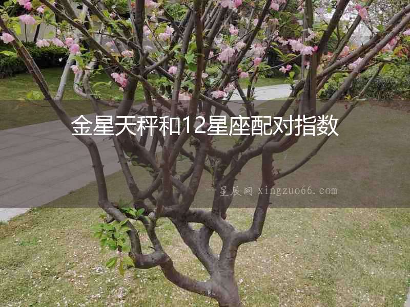金星天秤和12星座配對指數