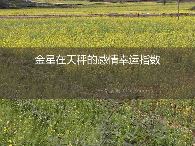 金星在天秤的感情幸運指數