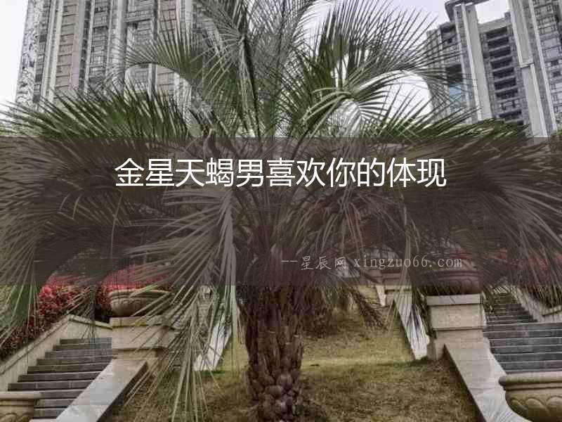 金星天蝎男喜歡你的體現(xiàn)