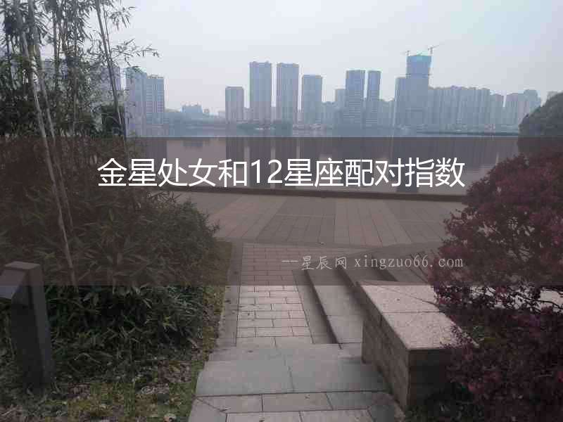 金星處女和12星座配對指數