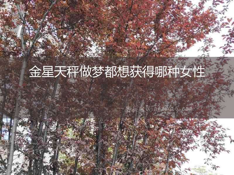 金星天秤做夢都想獲得哪種女性