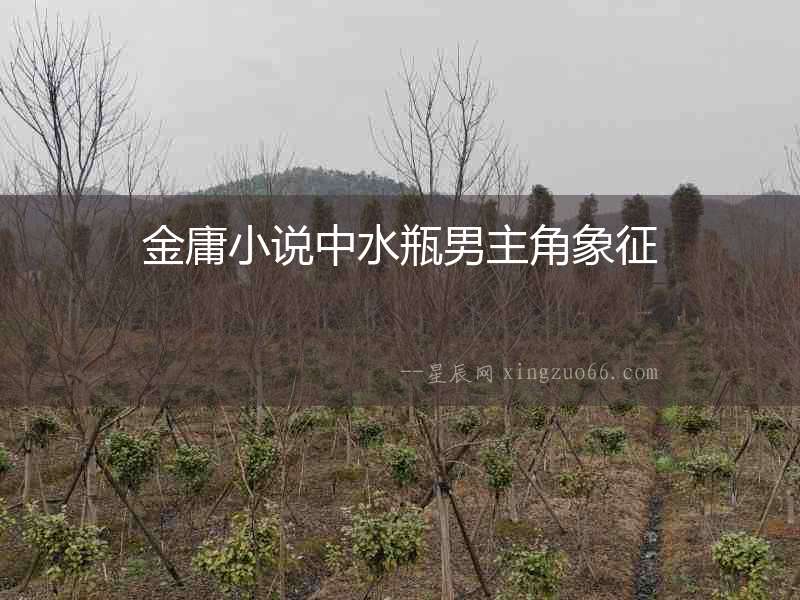 金庸小說中水瓶男主角象征