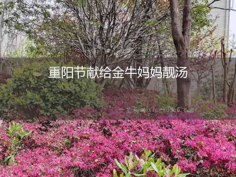 重陽(yáng)節(jié)獻(xiàn)給金牛媽媽靚湯