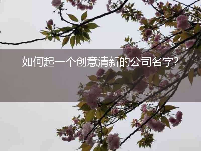 如何起一個(gè)創(chuàng)意清新的公司名字？