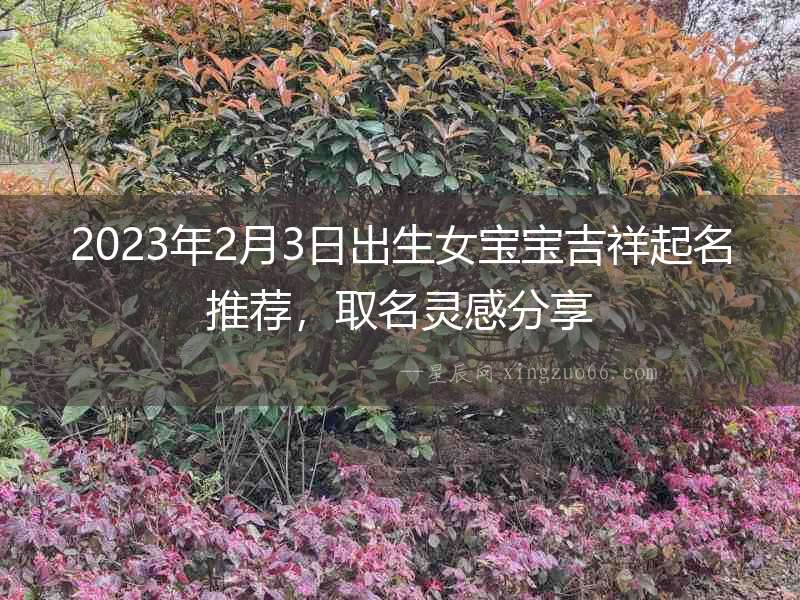 2023年2月3日出生女寶寶吉祥起名推薦，取名靈感分享