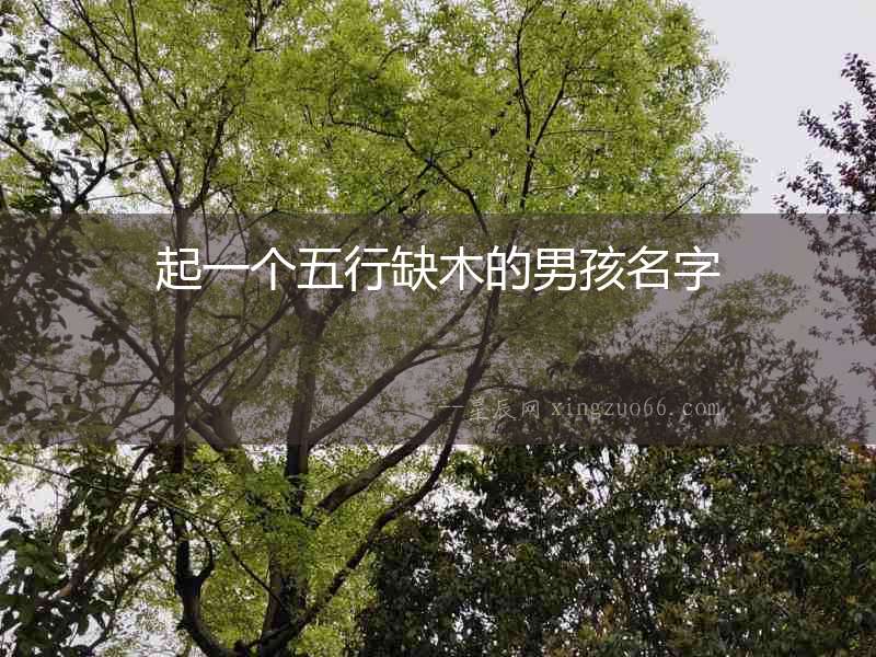 起一個五行缺木的男孩名字