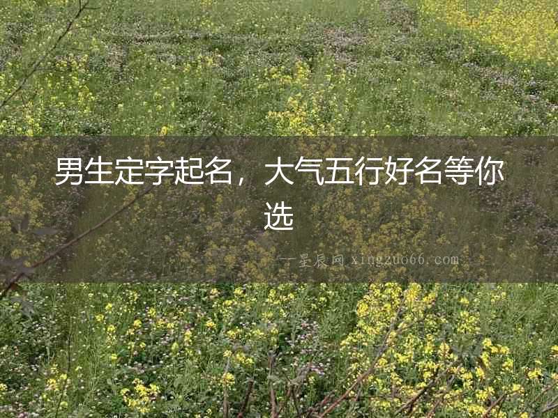 男生定字起名，大氣五行好名等你選