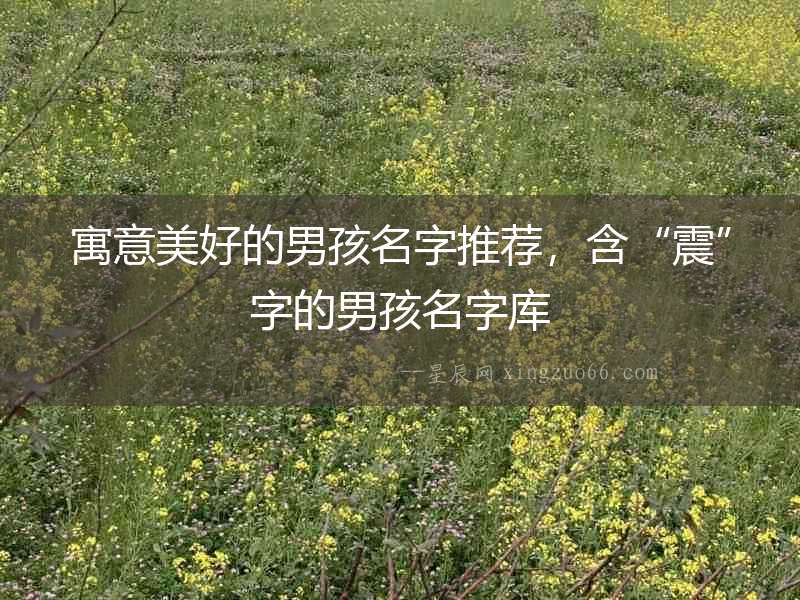 寓意美好的男孩名字推薦，含“震”字的男孩名字庫