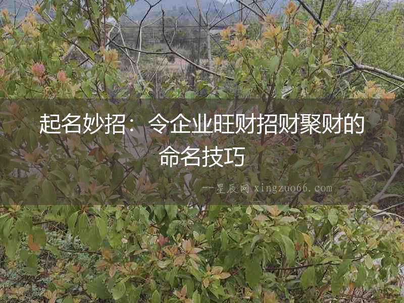 起名妙招：令企業旺財招財聚財的命名技巧