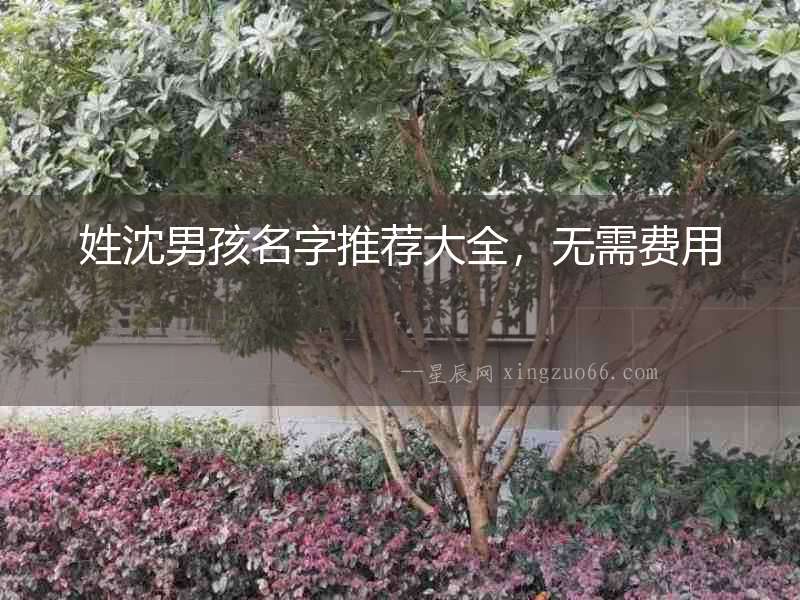姓沈男孩名字推薦大全，無需費(fèi)用