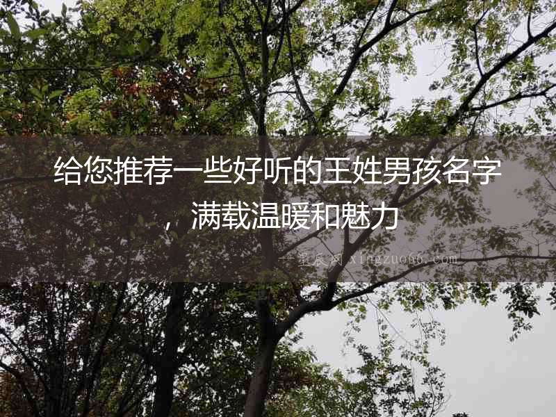 給您推薦一些好聽的王姓男孩名字，滿載溫暖和魅力