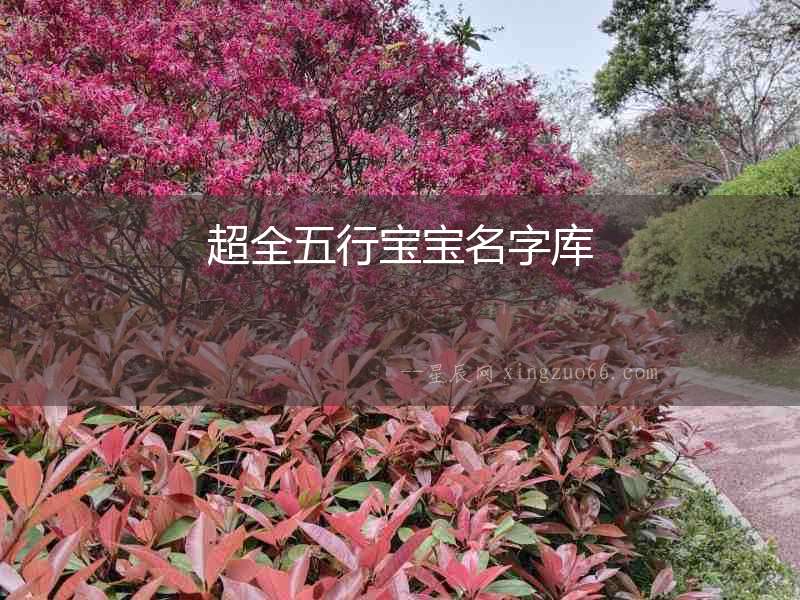 超全五行寶寶名字庫