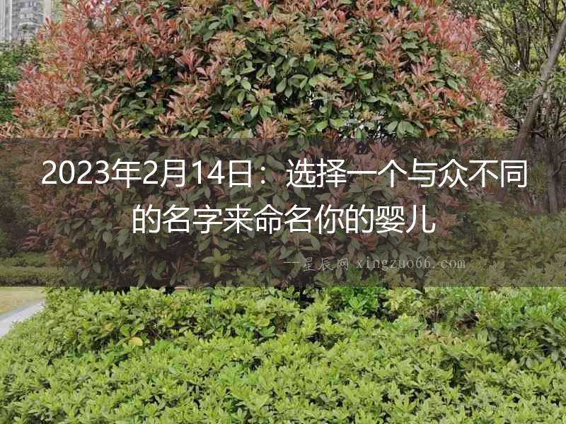 2023年2月14日：選擇一個與眾不同的名字來命名你的嬰兒