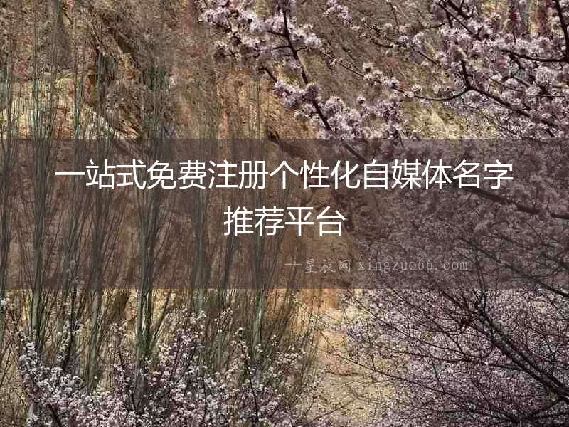 一站式免費注冊個性化自媒體名字推薦平臺