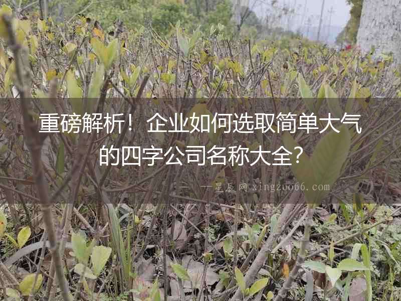 重磅解析！企業如何選取簡單大氣的四字公司名稱大全？