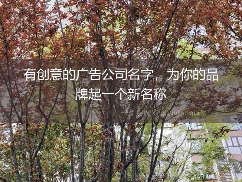 有創(chuàng)意的廣告公司名字，為你的品牌起一個新名稱