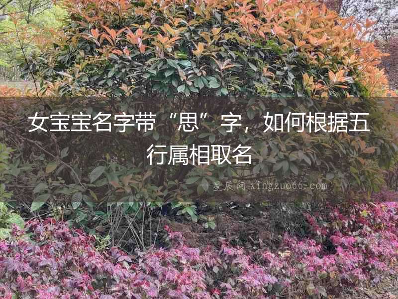 女寶寶名字帶“思”字，如何根據(jù)五行屬相取名