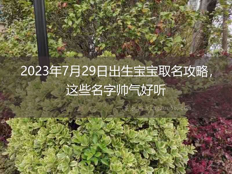 2023年7月29日出生寶寶取名攻略，這些名字帥氣好聽