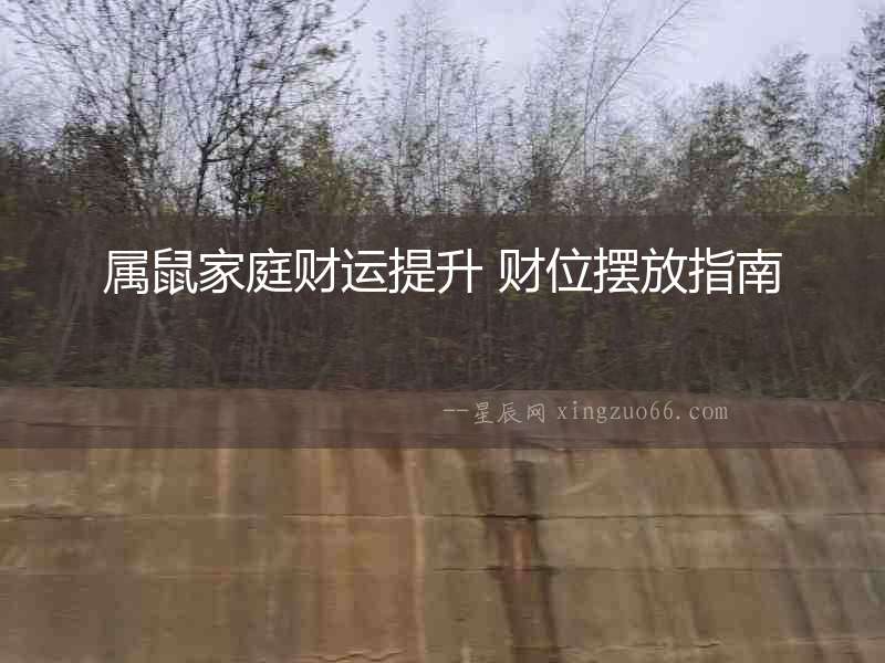 屬鼠家庭財(cái)運(yùn)提升 財(cái)位擺放指南