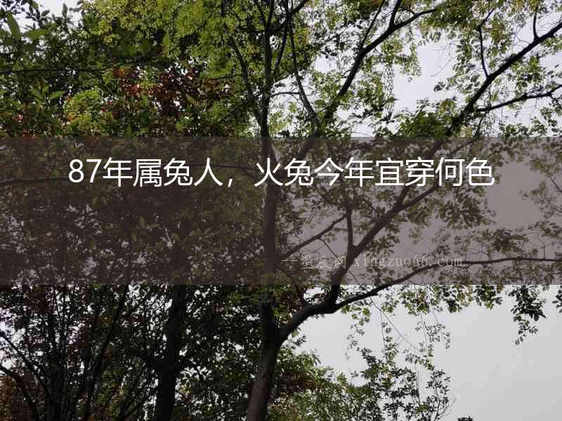 87年屬兔人，火兔今年宜穿何色