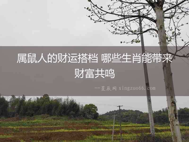 屬鼠人的財運搭檔 哪些生肖能帶來財富共鳴