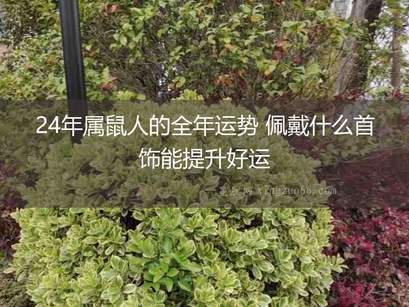 24年屬鼠人的全年運(yùn)勢(shì) 佩戴什么首飾能提升好運(yùn)