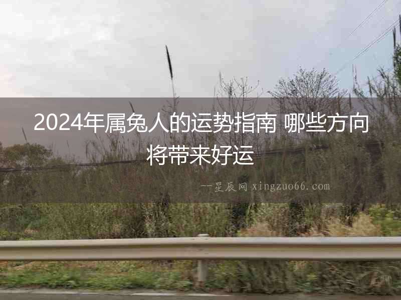 2024年屬兔人的運勢指南 哪些方向將帶來好運