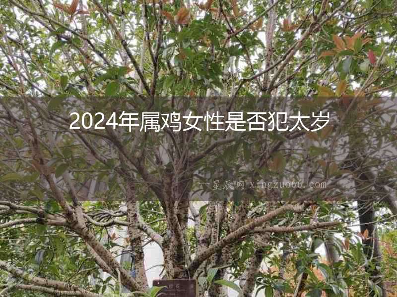 2024年屬雞女性是否犯太歲