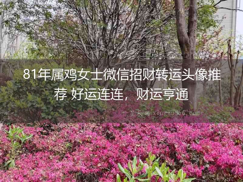 81年屬雞女士微信招財轉運頭像推薦 好運連連，財運亨通