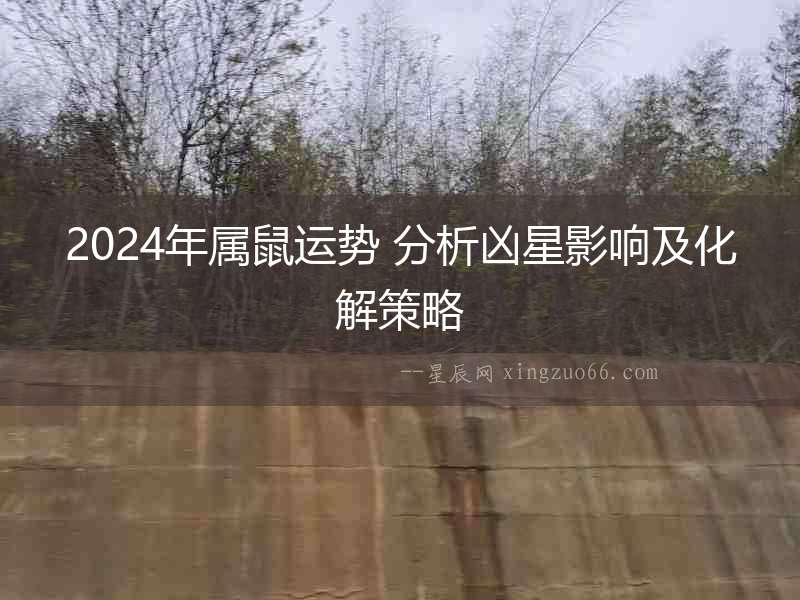 2024年屬鼠運勢 分析兇星影響及化解策略
