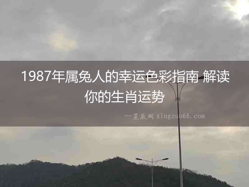 1987年屬兔人的幸運色彩指南 解讀你的生肖運勢