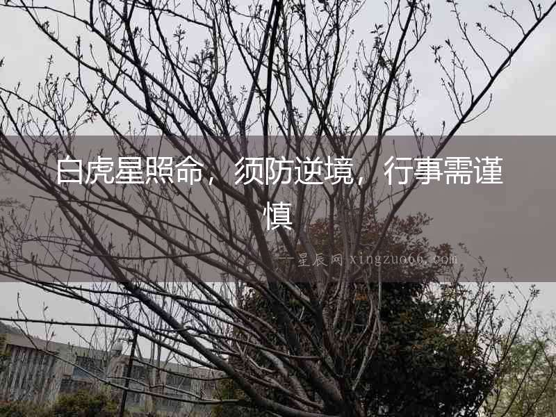 白虎星照命，須防逆境，行事需謹(jǐn)慎