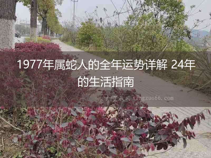 1977年屬蛇人的全年運(yùn)勢詳解 24年的生活指南