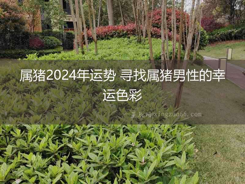 屬豬2024年運勢 尋找屬豬男性的幸運色彩