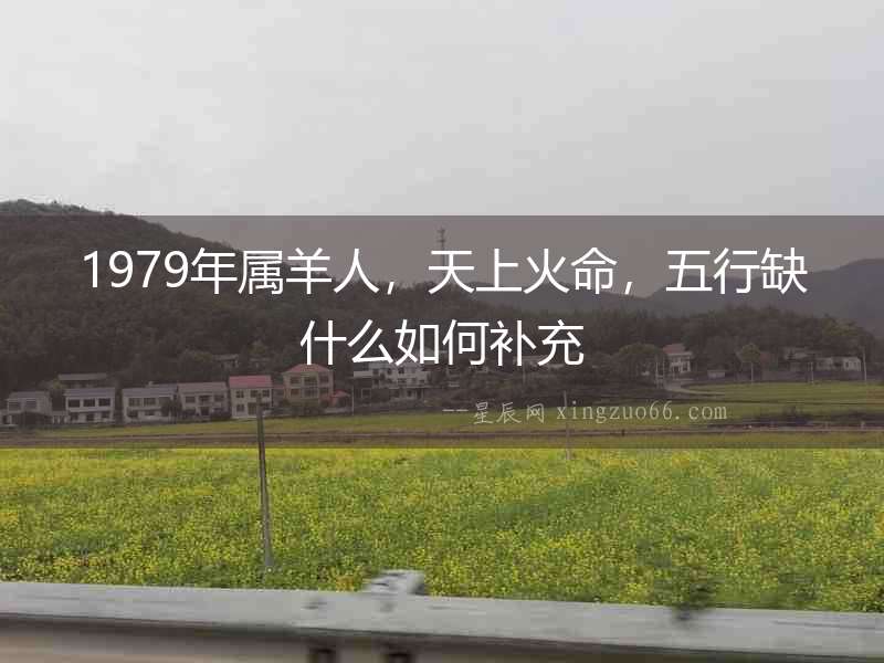 1979年屬羊人，天上火命，五行缺什么如何補充