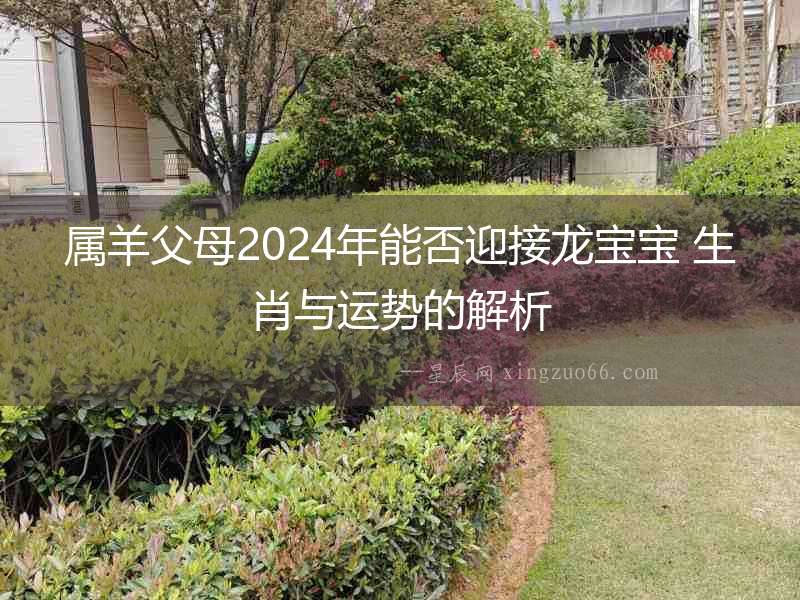 屬羊父母2024年能否迎接龍寶寶 生肖與運勢的解析
