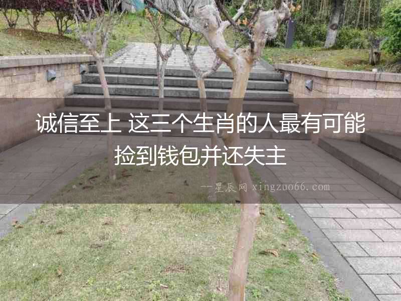 誠信至上 這三個生肖的人最有可能撿到錢包并還失主