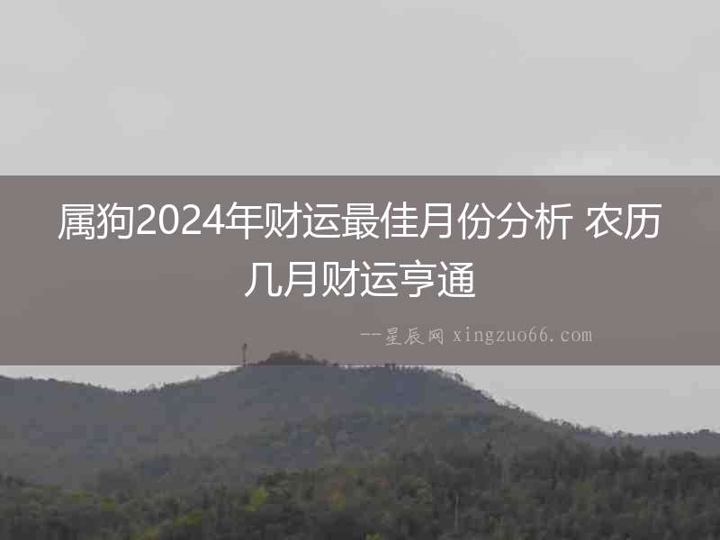 屬狗2024年財運最佳月份分析 農歷幾月財運亨通