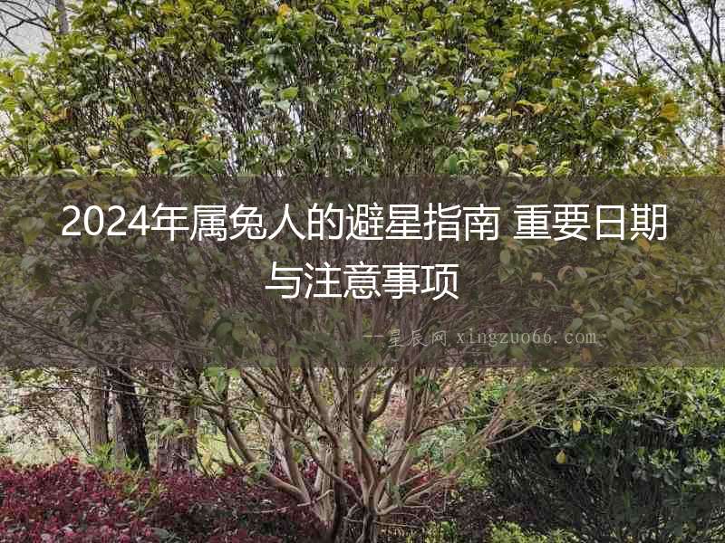 2024年屬兔人的避星指南 重要日期與注意事項(xiàng)