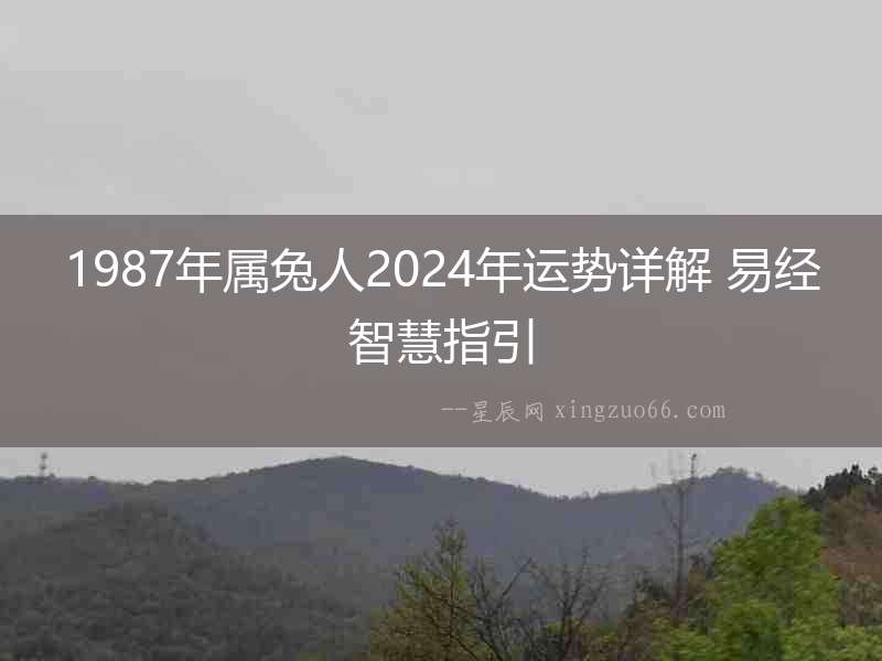 1987年屬兔人2024年運勢詳解 易經(jīng)智慧指引