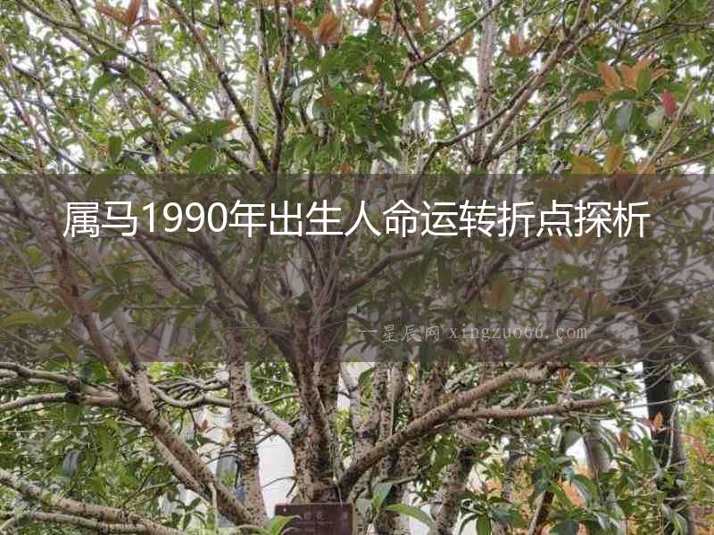 屬馬1990年出生人命運轉折點探析