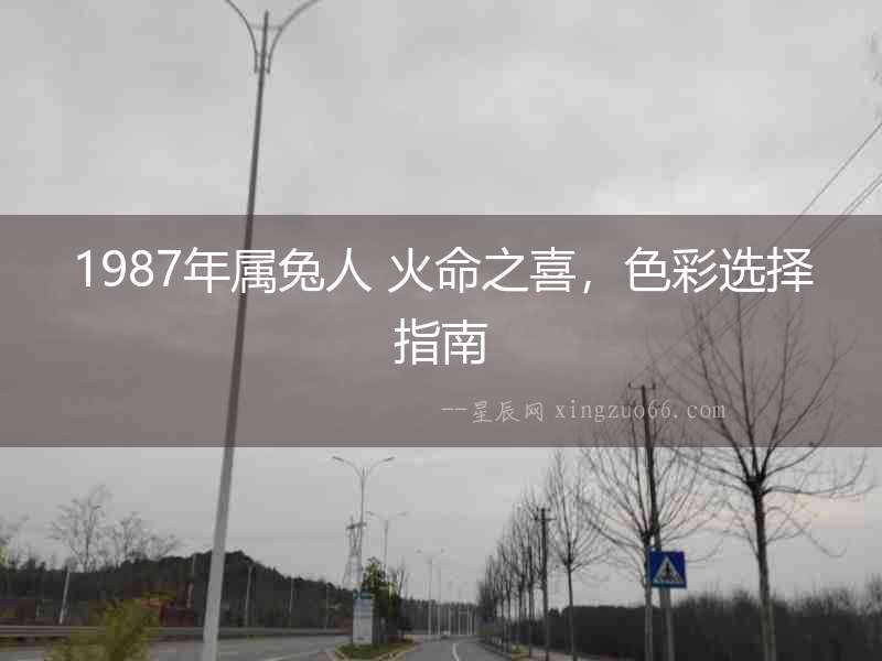 1987年屬兔人 火命之喜，色彩選擇指南