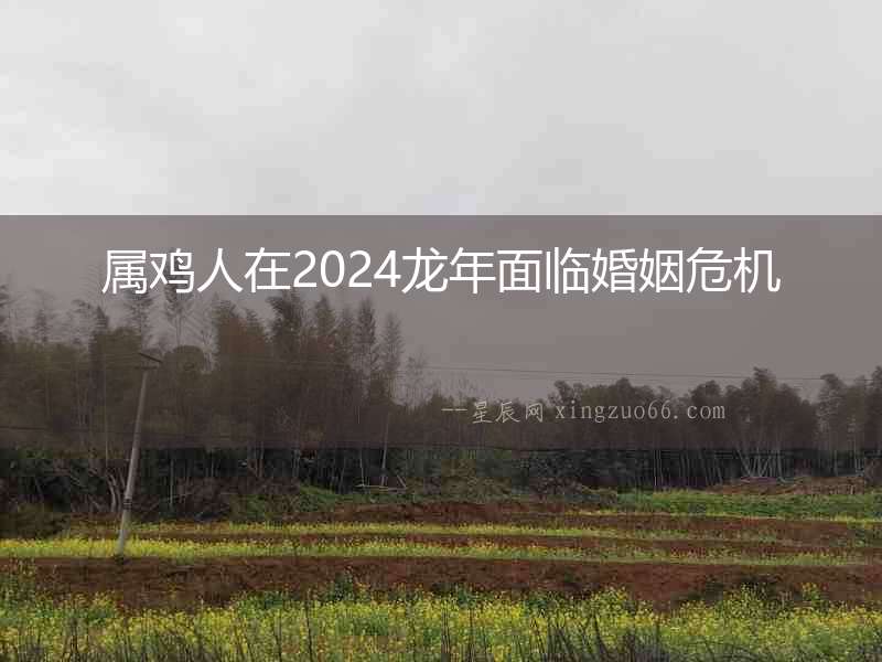 屬雞人在2024龍年面臨婚姻危機