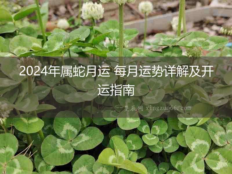 2024年屬蛇月運 每月運勢詳解及開運指南